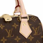 louis-vuitton-speedy-bandouliere-20-M46234_PM2_Front20view.png