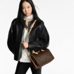 louis-vuitton-speedy-bandouliere-25-M46977_PM2_Front20view.png